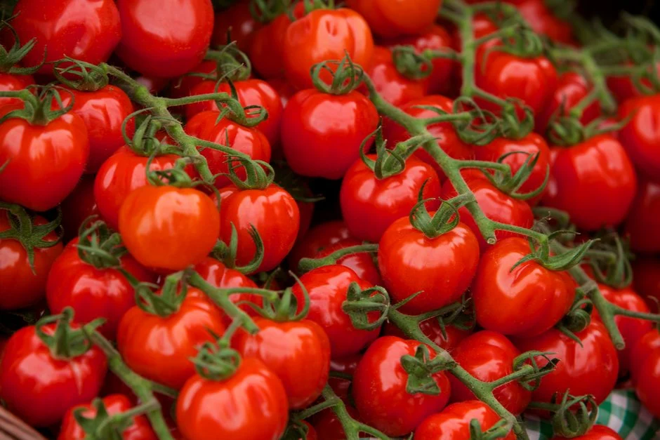Tomato prices drop 13% to 45% in December 2024 compared to last year